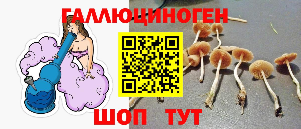 Галлюциногенные грибы мухоморы Ульяновск